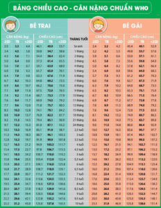 Size quần áo trẻ em, giày dép trẻ em 1 - 10 Tuổi chuẩn chỉnh